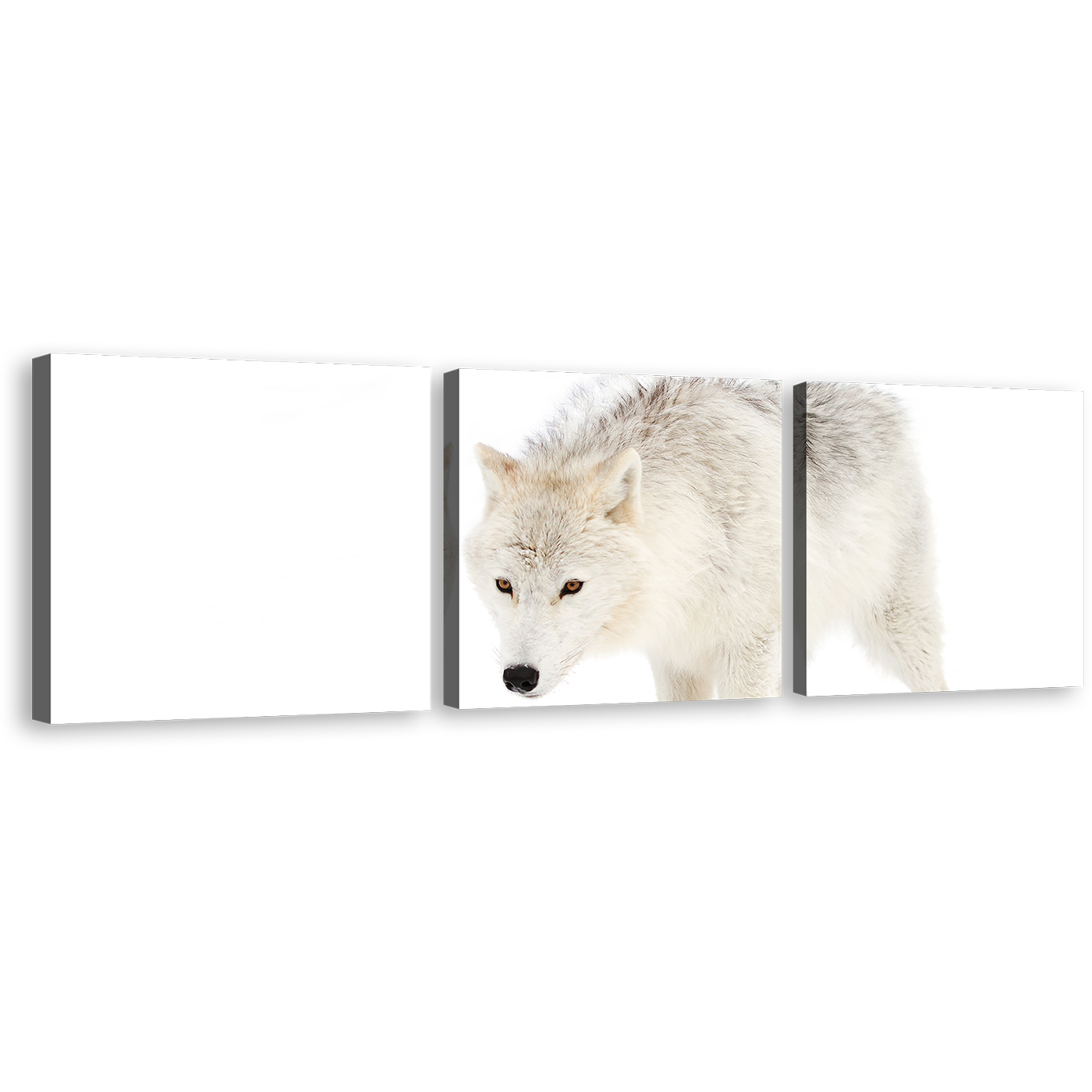 Wolf Snow Canvas Wall Art, Wolf Front Canvas Set, Isolated White Wolf 3 Piece Canvas Print