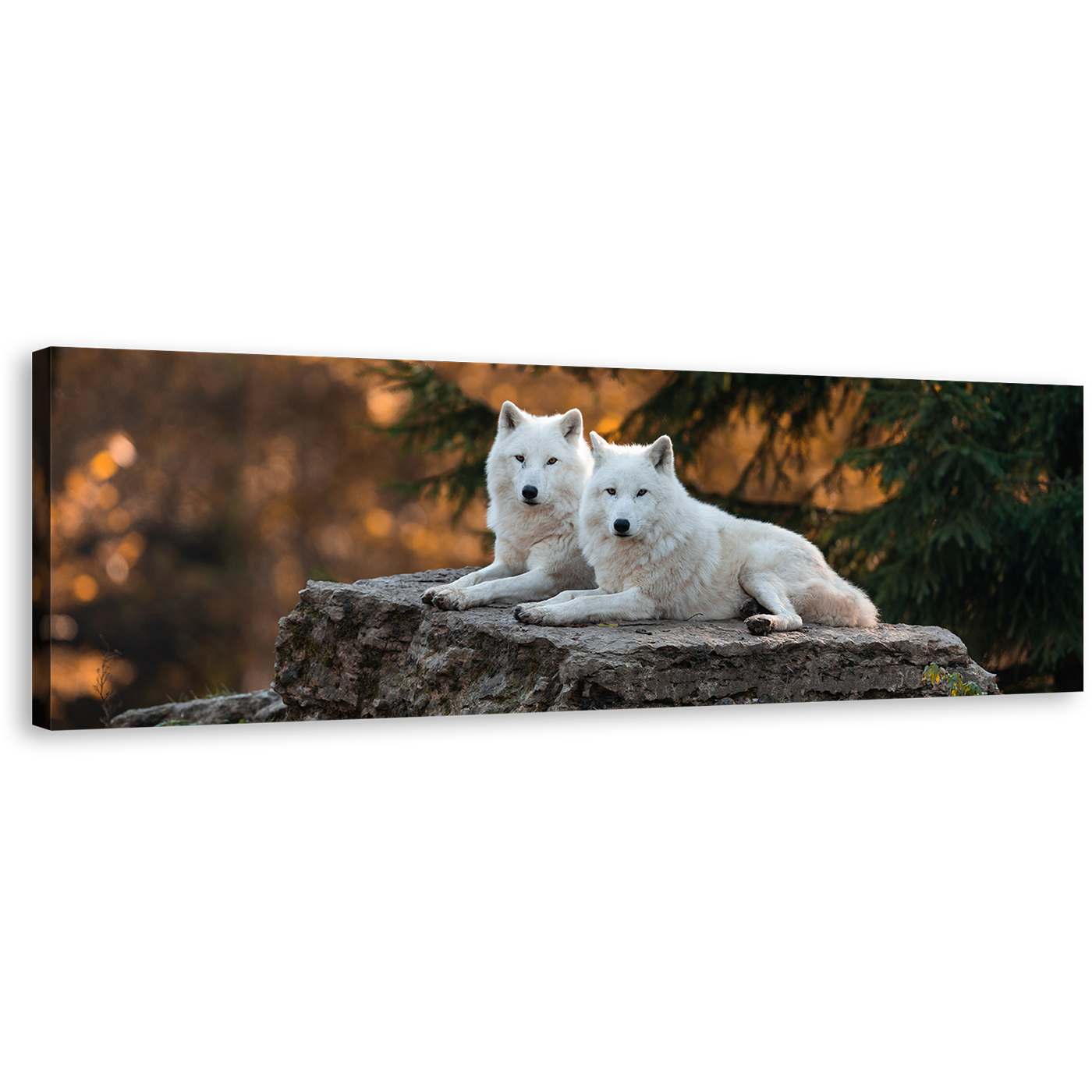 Wolf Wildlife Canvas Print, White Wolves Panoramic Canvas Wall Art, Wolf Orange Nature Scenery Canvas Artwork