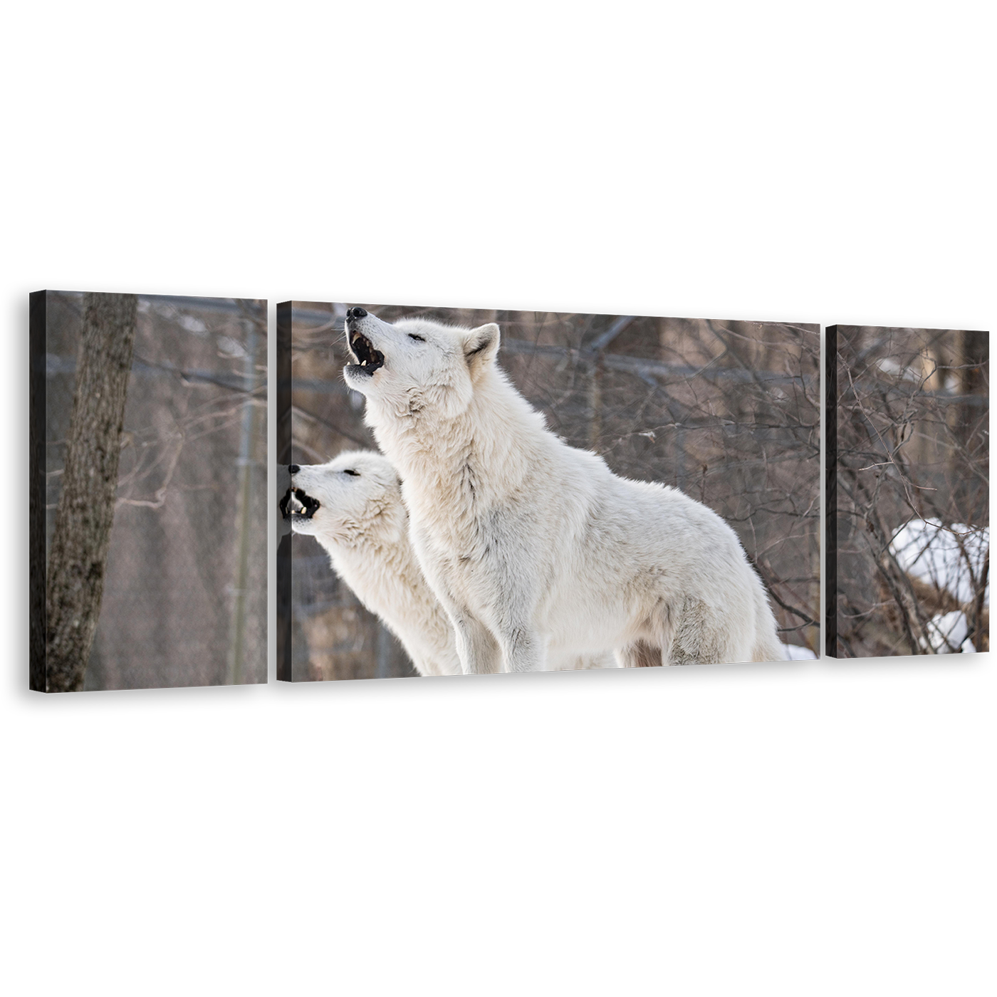 Wolves Howling Canvas Print, White Wolf Snow 3 Piece Canvas Wall Art, Wolf in Brown Nature Multiple Canvas