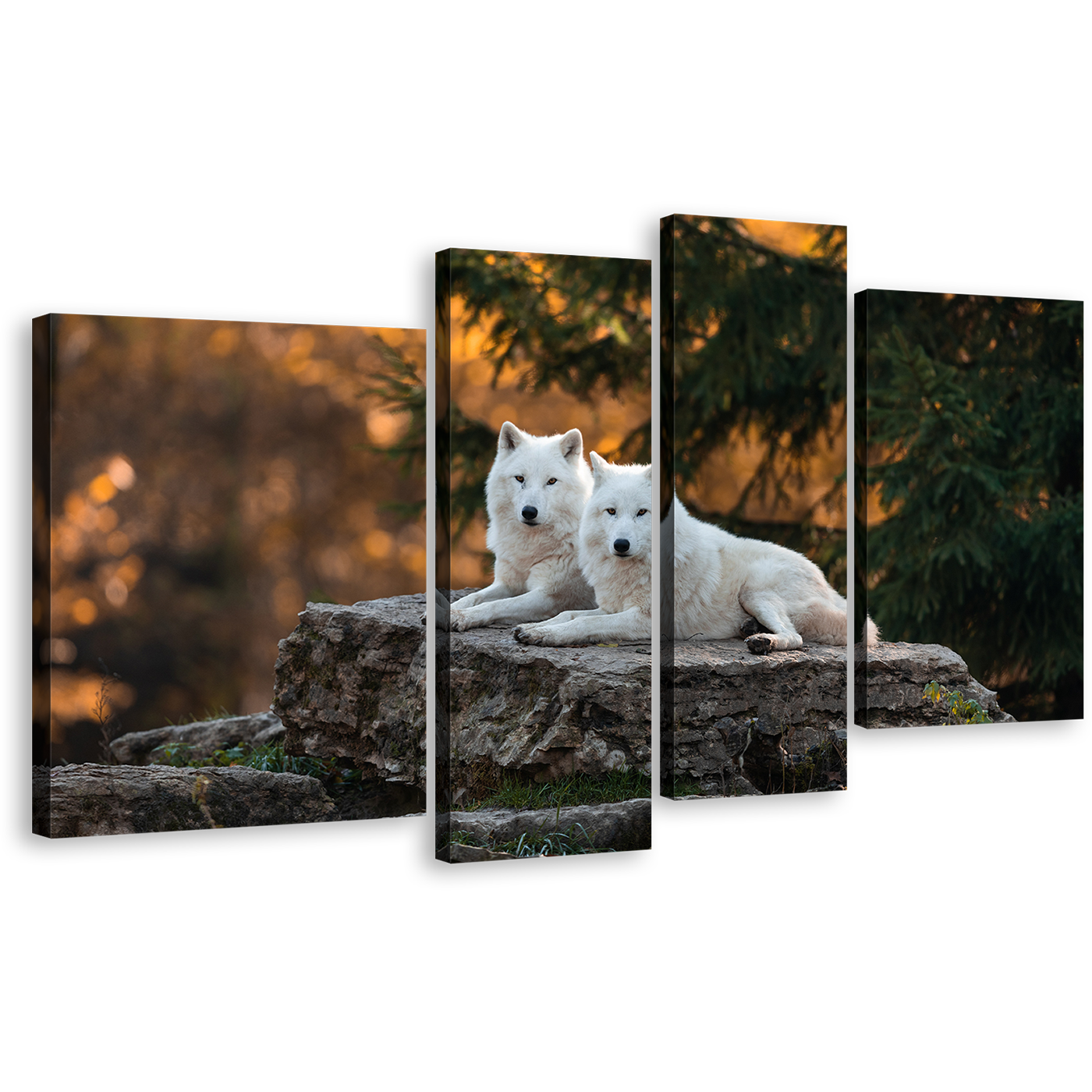 Wolves Landscape Canvas Wall Art, White Wolves Wildlife 4 Piece Canvas, Wolf Orange Nature Scenery Canvas Print