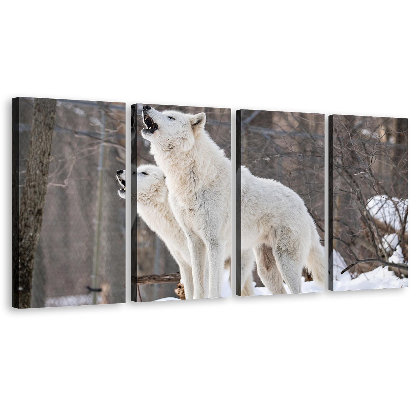 Wolves Wildlife Canvas Wall Art, White Wolves Howling 4 Piece Canvas Print, Arctic Wolf in Brown Nature Canvas Set