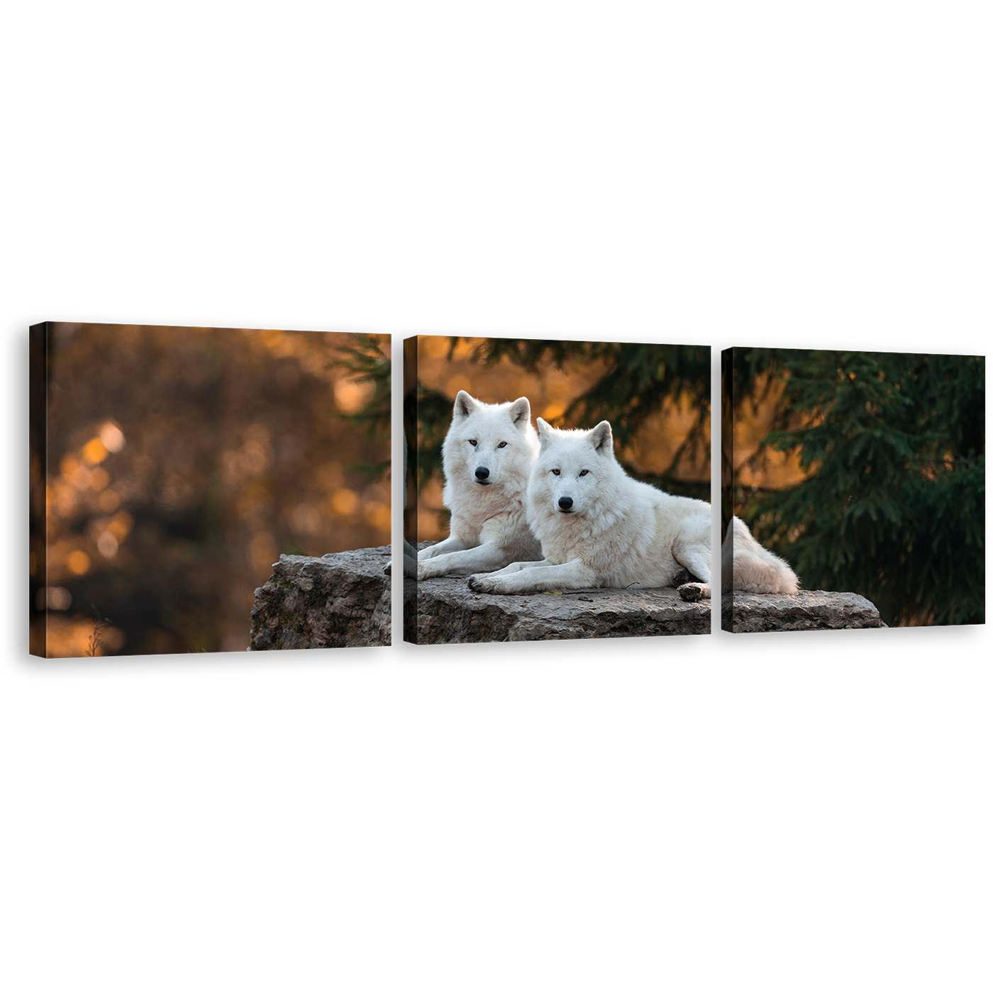 Wolves Wildlife Canvas Wall Art, Wolf Orange Nature Scenery 3 Piece Canvas Print, White Wolves Triptych Multi Canvas