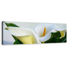 Load image into Gallery viewer, Zantedeschia Aethiopica Canvas Wall Art, White Lily Elegance Panoramic Canvas Print, Green Leaves Lily Digital Painting Canvas Artwork
