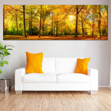 Load image into Gallery viewer, autumn  serenity  canvas  yellow  sunlit  forest  with  orange  fields  canvas  scenic  in  a  single  panel  wall  art  for  bedroom For Living Room
