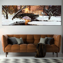 Load image into Gallery viewer, central  park  canvas  wall  art  new  york  city  park  river  canvas  print In Living Room
