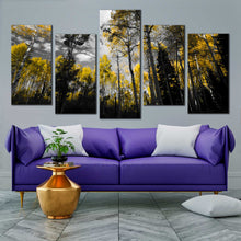 Load image into Gallery viewer, elegance in simplicity canvas print beautiful dark sky contemporary canvas wall art for your Living Room
