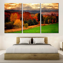 Load image into Gallery viewer, fall foliage canvas print yellow forest nature 3 piece canvas wall art for Bedroom
