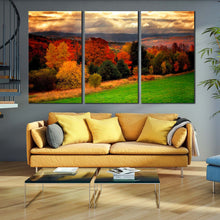 Load image into Gallery viewer, fall foliage canvas print yellow forest nature 3 piece canvas wall art In Living Room
