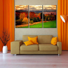 Load image into Gallery viewer, fall foliage canvas print yellow forest nature 3 piece canvas wall art for Living Room
