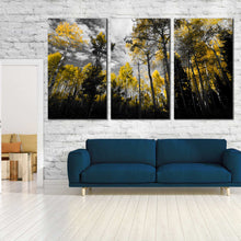 Load image into Gallery viewer, harmonious contrasts canvas print black and yellow contemporary fall landscape triptych canvas wall art for Living Room
