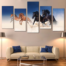 Load image into Gallery viewer, horses stallions canvas wall art running black brown herd canvas print for Your Living Room
