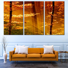 Load image into Gallery viewer, mystical forest panorama wall art autumn landscape with golden trees and amber fields canvas for your Living Room
