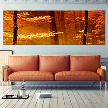 Load image into Gallery viewer, orange  forest  glow  canvas  print  sunset  s  warm  embrace  illuminating  the  trees  canvas  wall  art  for Living Room
