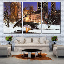 Load image into Gallery viewer, park river canvas print white snow forest trees 3 piece canvas wall art In Living room
