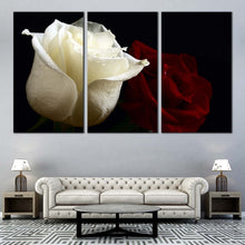 Load image into Gallery viewer, romantic rose floral canvas wall art beautiful flowers in red and white roses 3 piece canvas print In Living room
