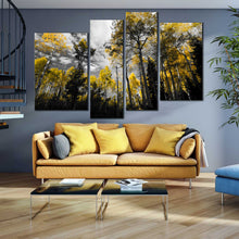 Load image into Gallery viewer, serene forest canvas wall art tranquil beauty of nature s canopy canvas print In Living Room
