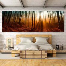 Load image into Gallery viewer, sunlit mystique panoramic canvas print mystic forest nature scenery canvas wall art for bedroom
