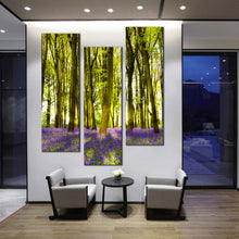 Load image into Gallery viewer, 3  panel  wall  art  oxfordshire  forest  sunlight  on  deep  bloom  of  bluebells For Living Room
