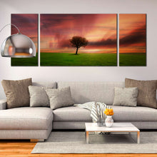 Load image into Gallery viewer, 3  piece  wall  art  Alone  Tree  Green  Fields  at  Dusk For Living Room
