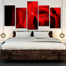 Load image into Gallery viewer, 5 panel close up red rose with black background artwork For Bedroom
