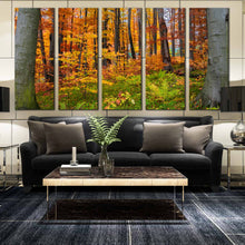 Load image into Gallery viewer, 5 piece home canvas artwork forest scene For Living room
