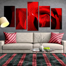 Load image into Gallery viewer, 5 piece red rose with black background artwork For Your Living Room
