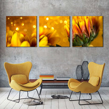 Load image into Gallery viewer, Abstract Floral Canvas Wall Art Yellow Chrysanthemum Flowers Canvas Art Print Golden Flowers Background 3 Piece Multi Canvas In Living Room
