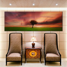 Load image into Gallery viewer, Alone  Tree  Green  Fields  panoramic  canvas  print In Living Room
