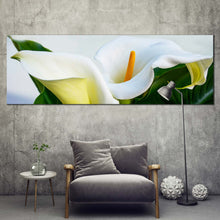 Load image into Gallery viewer, Arum Lily Canvas Wall Art Zantedeschia Aethiopica Green Leaves Canvas Print White Calla Lily Flowers 1 Piece Canvas Set In Living Room
