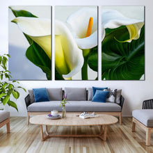 Load image into Gallery viewer, Arum Lily Canvas Wall Art Zantedeschia Aethiopica Green Leaves Triptych Canvas Print White Calla Lily Flowers 3 Piece Canvas Set For Living Room
