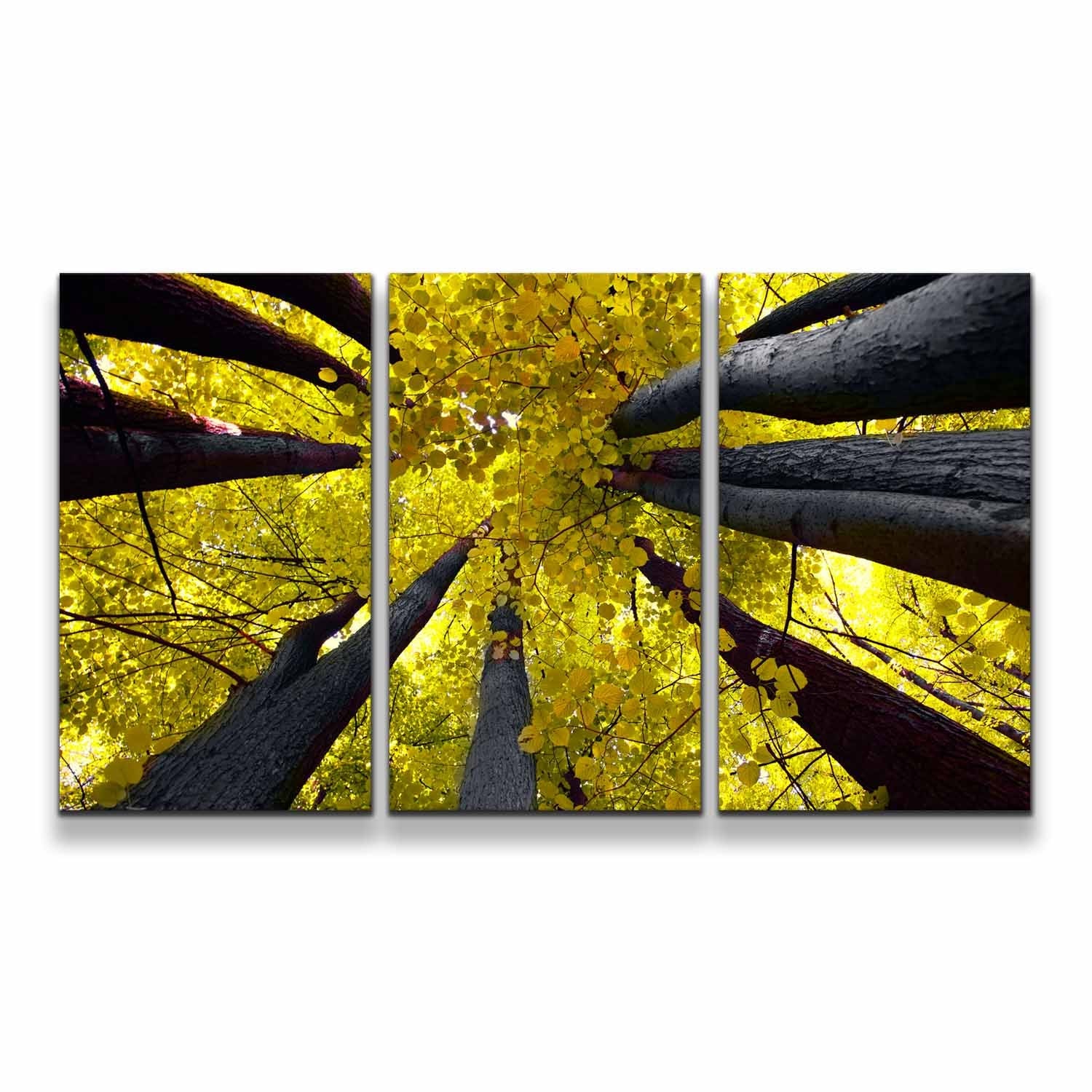 Aspens In Summer - Aspen Tree Wall Art | Art Bloom Canvas Prints - Foto 10