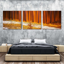 Load image into Gallery viewer, Autumn Forest Canvas Wall Art Yellow Orange Forest Nature 3 Piece Canvas Print Beautiful Trees Scenery Multi Canvas For Bedroom
