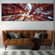 Load image into Gallery viewer, Autumn  Forest  Canvas  Wall  Art  Blue  Sky  Sunrise  Multi  Canvas  Artwork  Orange  Looking  Up  Through  Forest   1  Piece  Canvas  Print In Living Room
