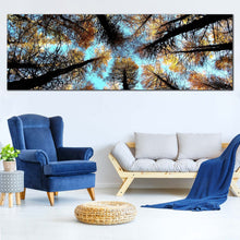 Load image into Gallery viewer, Autumn  Forest  Canvas  Wall  Art  Looking  Up  Blue  Sky  Canvas  Set  Yellow  Scotland  Trees  Multi  Canvas  Artwork In Living Room
