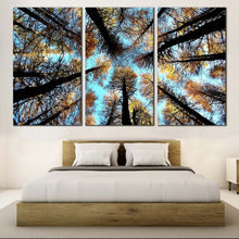 Load image into Gallery viewer, Autumn Forest Canvas Wall Art Looking Up Blue Sky Canvas Set Yellow Scotland Trees Multi Canvas Artwork For Bedroom
