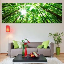 Load image into Gallery viewer, Autumn  Forest  Canvas  Wall  Art  White  Sky  Sunrise  Multi  Canvas  Artwork  Looking  Up  Green  Trees  Branches  Living  Room  1  Piece  Canvas  Print In Living Room
