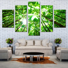 Load image into Gallery viewer, Autumn  Forest  Canvas  Wall  Art  White  Sky  Sunrise  Multi  Canvas  Artwork  Looking  Up  Green  Trees  Branches 5  Piece  Canvas  Print For LIving Room
