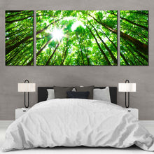 Load image into Gallery viewer, Autumn  Forest  Canvas  Wall  Art  White  Sky  Sunrise  Triptych  Multi  Canvas  Artwork  Looking  Up  Green  Trees  Branches  Bedroom  3  Piece  Canvas  Print For Bedroom
