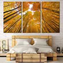 Load image into Gallery viewer, Autumn Forest Canvas Wall Art Yellow Orange Trees Looking Up Canvas Print Looking Up White Sky  3 Piece Canvas For Bedroom
