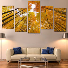 Load image into Gallery viewer, Autumn Forest Canvas Wall Art Yellow Orange Trees Looking Up Canvas Print Looking Up White Sky  5 Piece Canvas
