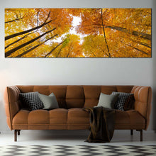 Load image into Gallery viewer, Autumn  Forest  Canvas  Wall  Art  Yellow  Orange  Trees  Looking  Up  Canvas  Print  Looking  Up  White  Sky  Living  Room  Living  Room  1  Piece  Canvas For Living Room
