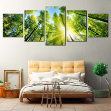 Load image into Gallery viewer, Autumn Forest Canvas Wall Art Yellow Sunrise Sky Multi Panel Canvas Looking Up Green Trees Branches  5 Piece Canvas Print For Bedroom
