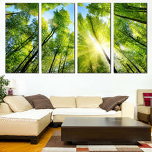 Load image into Gallery viewer, Autumn Forest Canvas Wall Art Yellow Sunrise Sky Multi Panel Canvas Looking Up Green Trees Branches  4 Piece Canvas Print For Living Room
