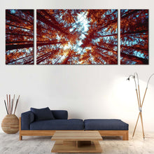 Load image into Gallery viewer, Autumn  Trees  Canvas  Wall  Art  Blue  Sky  Looking  Up  Forest  3  Piece  Canvas  Print  Orange  Looking  Up  Through  Forest  Living  Room  Canvas  Set In Living Room
