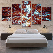 Load image into Gallery viewer, Autumn  Trees  Canvas  Wall  Art  Blue  Sky  Looking  Up  Forest  5  Piece  Canvas  Print  Orange  Looking  Up  Through  Forest    Canvas  Set For Bedroom
