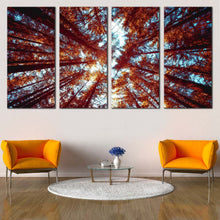 Load image into Gallery viewer, Autumn Trees Canvas Wall Art Blue Sky Looking Up Forest  4 Piece Canvas Print Orange Looking Up Through Forest Canvas Set In Living room
