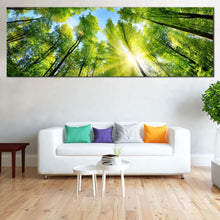 Load image into Gallery viewer, Autumn  Trees  Canvas  Wall  Art  Looking  Up  Green  Trees  Branches  Canvas  Print  Blue  Sky  Sunrise  Looking  Up  1  Piece  Wide  Canvas For Living Room
