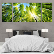 Load image into Gallery viewer, Autumn  Trees  Canvas  Wall  Art  Looking  Up  Green  Trees  Branches  Canvas  Print  Blue  Sky  Sunrise  Looking  Up  3  Piece  Split  Canvas In Bedroom
