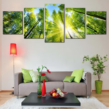 Load image into Gallery viewer, Autumn Trees Canvas Wall Art Looking Up Green Trees Branches Canvas Print Blue Sky Sunrise Looking Up 5 Piece Split Canvas In Living room
