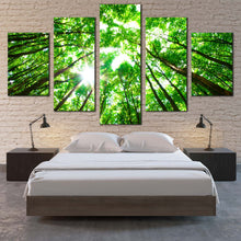 Load image into Gallery viewer, Autumn  Trees  Canvas  Wall  Art  Looking  Up  Green  Trees  Branches  Canvas  Set  White  Sky  Sunrise  Looking  Up    5  Piece  Canvas  Print For Bedroom
